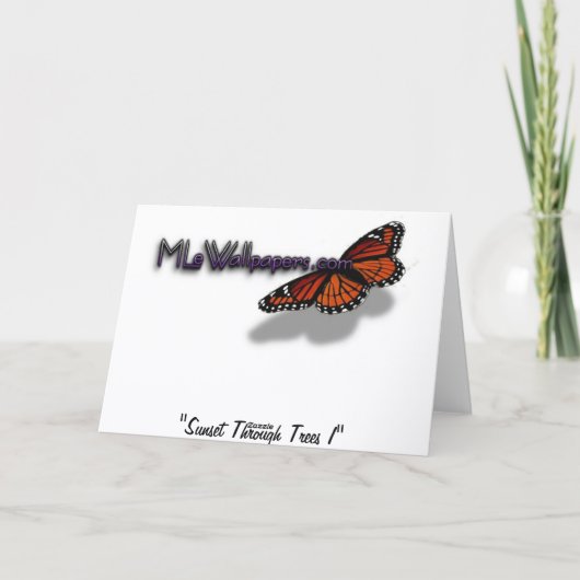 Carte Coucher du soleil à travers les arbres I Photograp (Dos)