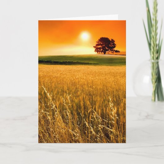 Carte Coucher du soleil rouge sang (Devant)