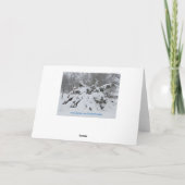 Carte Couette, cosy et chaleureux (Dos)
