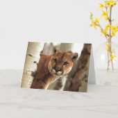 Carte Cougar (Fleur jaune)