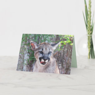 Carte Cougar Cub Greeting Card