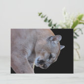 Carte Cougar / Florida Panther / Puma Flat Card (Debout devant)