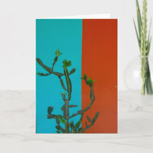 Carte couleur cactus