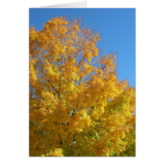Carte Couleurs d'automne