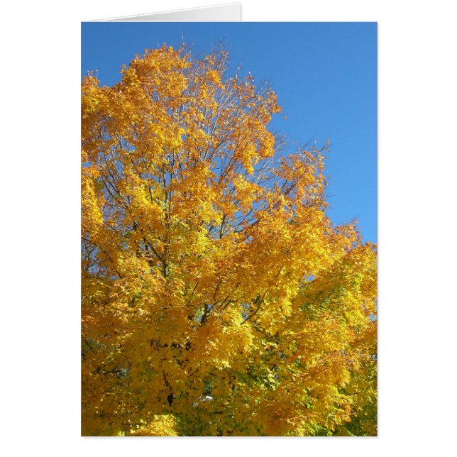 Carte Couleurs d'automne (Devant)