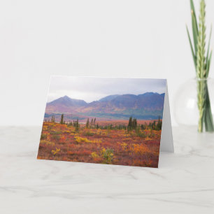 Carte Couleurs D'Automne Dans Le Parc National Denali, A