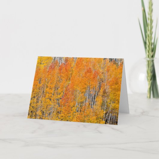 Carte Couleurs d'automne sur Aspen Groves (Devant)
