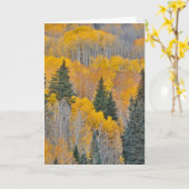 Carte Couleurs d'automne sur Aspen Groves (Fleur jaune)