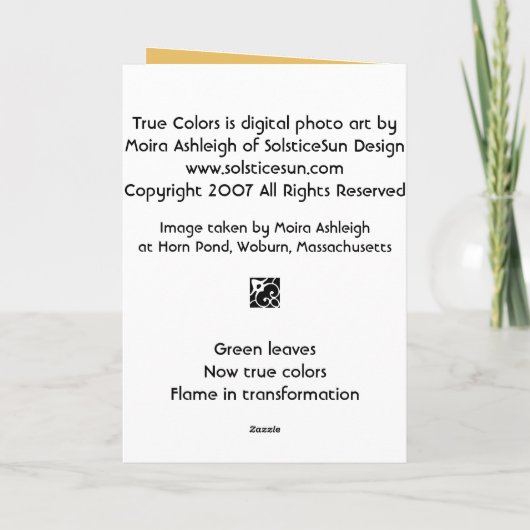 Carte Couleurs vraies (Dos)