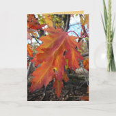 Carte Couleurs vraies (Devant)