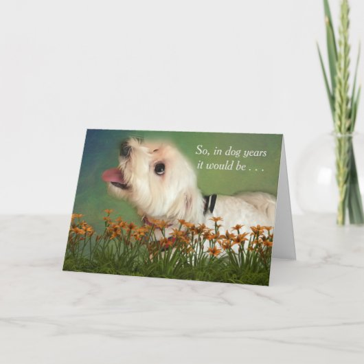 Carte Counting in Dog Years Birthday (Devant)