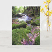 Carte Country Creek (Fleur jaune)