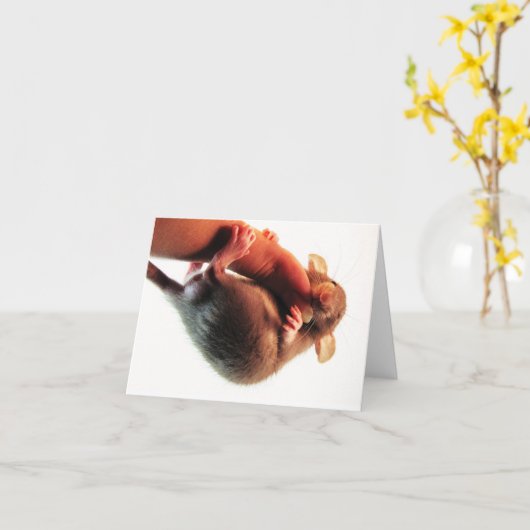 Carte Coup chez là le rat (Fleur jaune)