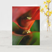 Carte Coup d'oeil (Fleur jaune)