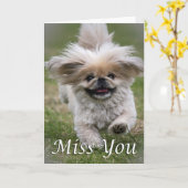 Carte Coup manqué de Pekinese vous (Fleur jaune)