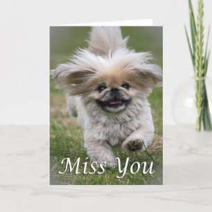 Carte Coup manqué de Pekinese vous