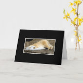 Carte coup manqué d'ours blancs vous (Fleur jaune)