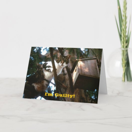 Carte Coupable ! (Devant)