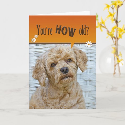 Carte Coupe d'anniversaire (Fleur jaune)