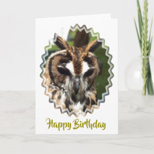 CARTE COUPER OWL