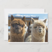 Carte Couple blanc et reddish Brown (Devant)