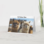 Carte Couple d'alpacas aux cheveux bouclés blancs et bru (Devant)