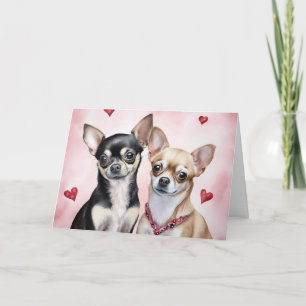 Carte Couple de Chihuahua mignons