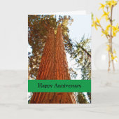 Carte Couple Sequoia Trees, Happy Anniversary (Fleur jaune)
