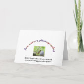 Carte Couples de hibou de Milou (Dos)