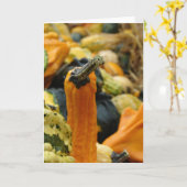 Carte Courges (Fleur jaune)