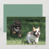Carte Course de chiens français bulldog (Devant / Derrière)