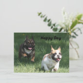 Carte Course de chiens français bulldog (Debout devant)