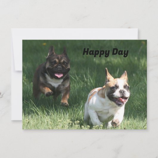 Carte Course de chiens français bulldog (Devant)
