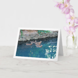 Carte Couvée de canards dans une eau bleue majestueuse