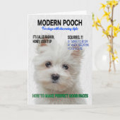 Carte Couverture du magazine parodique Maltese Terrier (Fleur jaune)