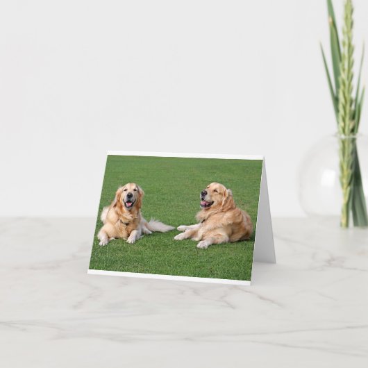 Carte Couverture pour chiot Golden Retriever (Devant)