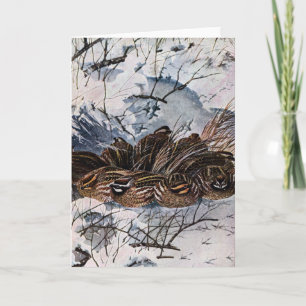 Carte Covey des cailles