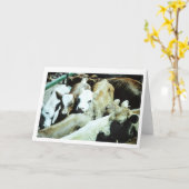 Carte Cow Babies Card (Fleur jaune)