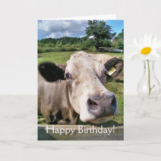 Carte COW Cute (Petite plante)