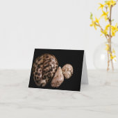 Carte Cowrie Cones (Fleur jaune)