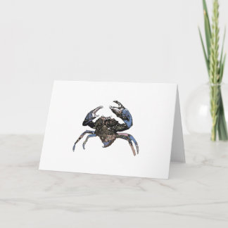 Carte Crabe de boue ou crabe de mangrove (Scylla serrata