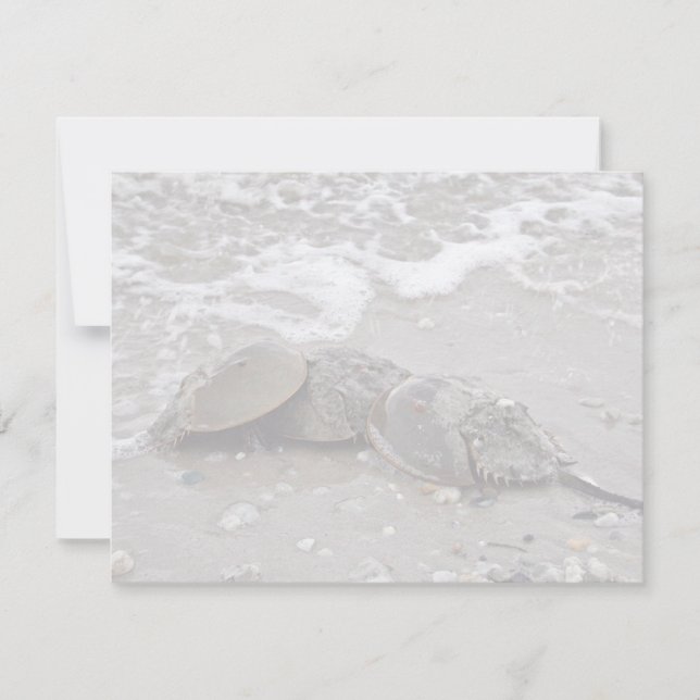 Carte Crabe du fer à cheval (Devant)