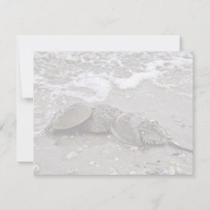 Carte Crabe du fer à cheval