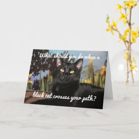 Carte Crainte des chats noirs (Fleur jaune)