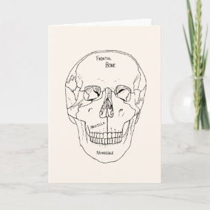 Carte Crâne avec os - Étiquetés