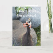 Carte Cranky Guinea Fowl'anniversaire amusant (Devant)
