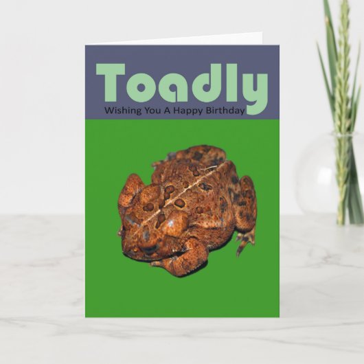 Carte Crapaud drôle Toadly Frog Joyeux Anniversaire (Devant)