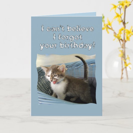 Carte Crazy Kitten Anniversaire (Fleur jaune)