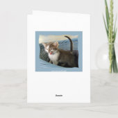 Carte Crazy Kitten Anniversaire (Dos)