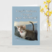 Carte Crazy Kitten Anniversaire (Fleur jaune)